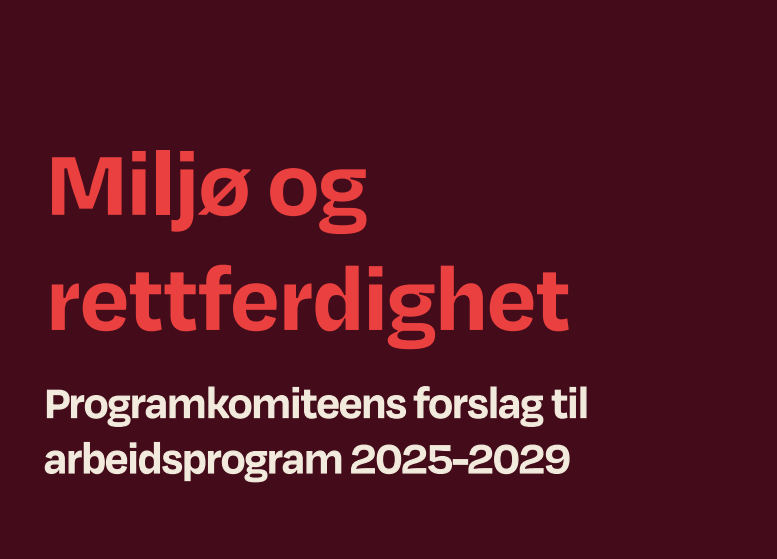 Skjermbilde 2024-10-18 124457.png