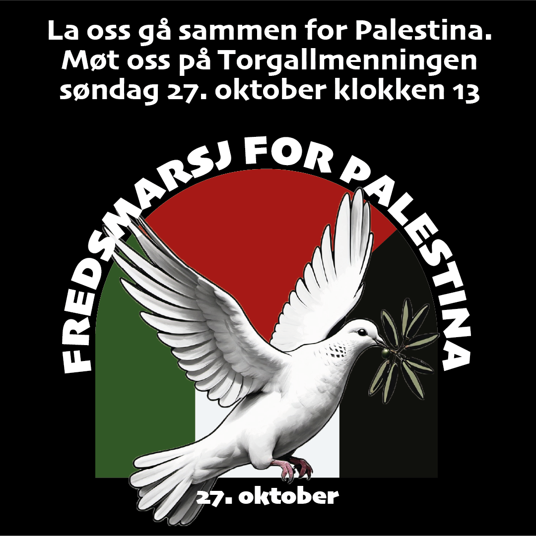 241027 Palestina.png